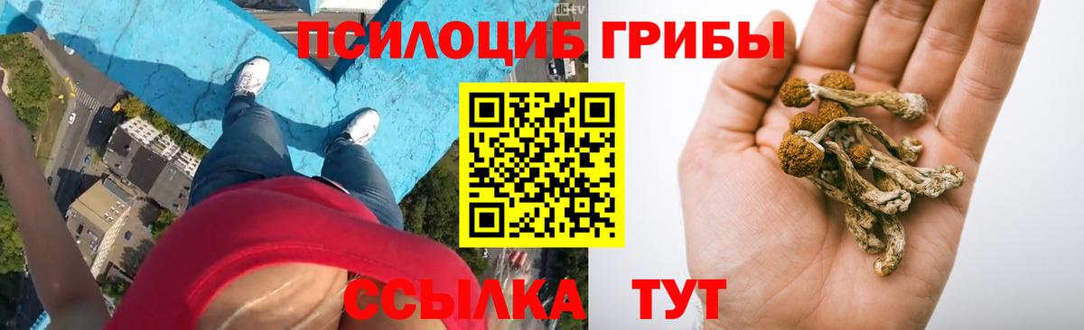 Галлюциногенные грибы мицелий Артёмовский