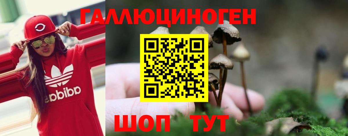 цена наркотик  Псилоцибиновые грибы Magic Shrooms  Вход с VPN  Артёмовский 